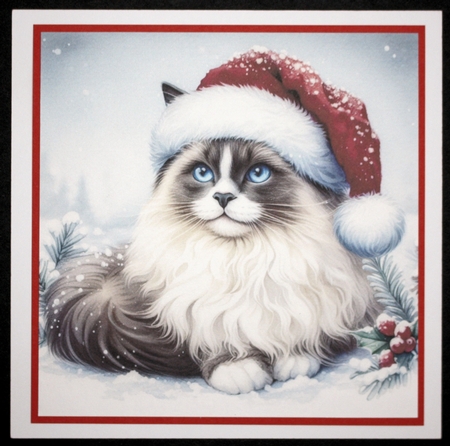 Santa Hat Cat 2 by Marion Kimberley-Scott