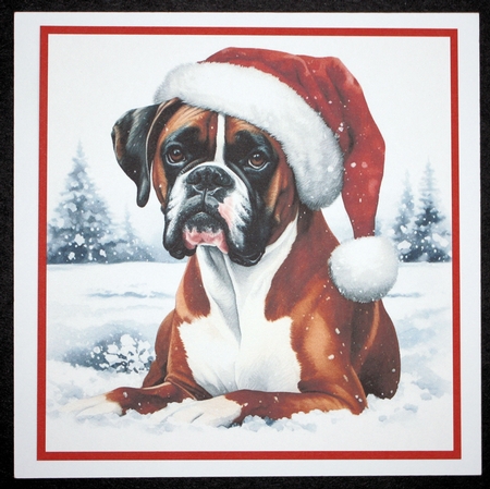 Santa Hat Dogs 1 by Marion Kimberley-Scott