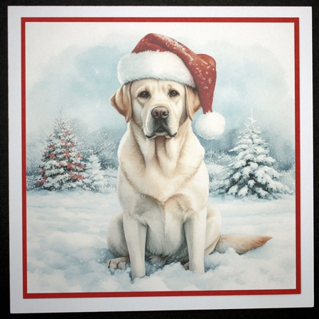 Santa Hat Dogs 2 by Marion Kimberley-Scott
