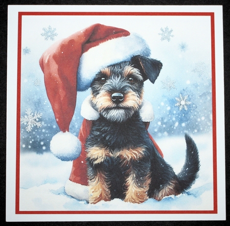 Santa Hat Dogs 7 by Marion Kimberley-Scott
