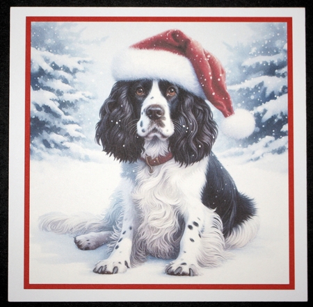 Santa Hat Dogs 9 by Marion Kimberley-Scott
