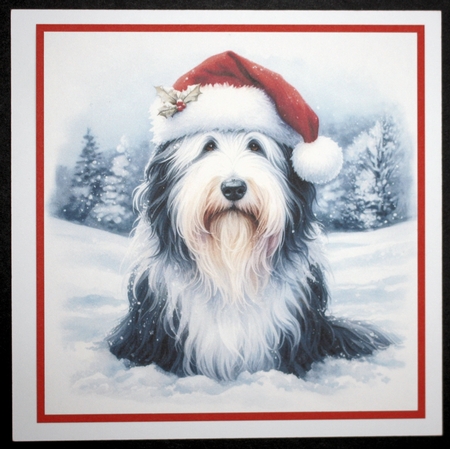 Santa Hat Dogs 11 by Marion Kimberley-Scott
