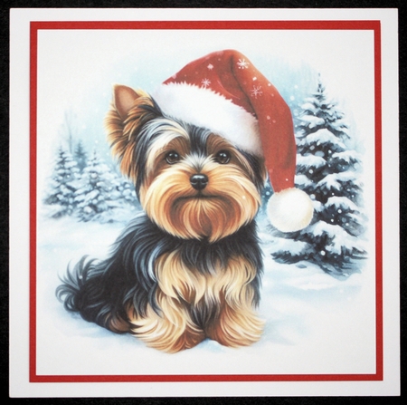 Santa Hat Yorkies by Marion Kimberley-Scott