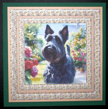 Summer pup card front 3 by Marion Kimberley-Scott