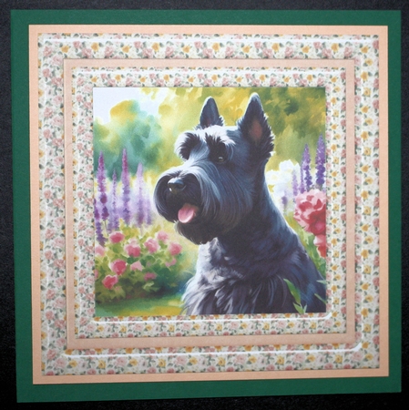 Summer pup card front 4 by Marion Kimberley-Scott