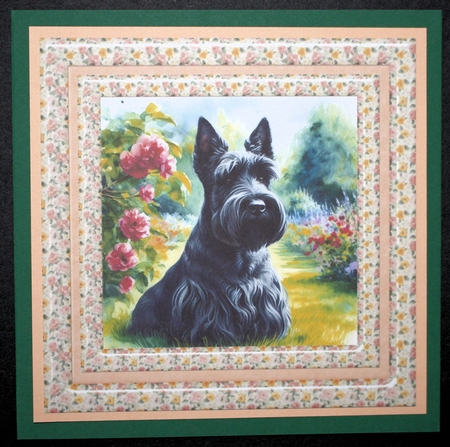 Summer pup card front 9 by Marion Kimberley-Scott