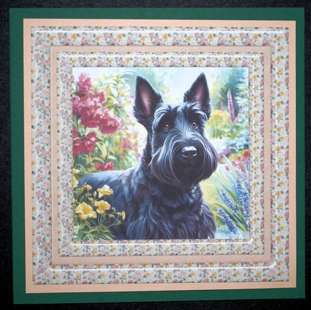 Summer pup card front 12 by Marion Kimberley-Scott