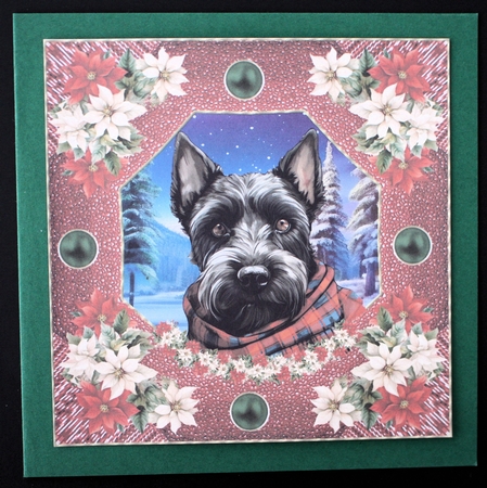 Poinsettia Scottish terrier card front 6 by Marion Kimberley-Scott