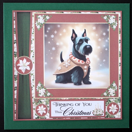 Holly and berries Christmas Scottish terrier card front 9 by Marion Kimberley-Scott
