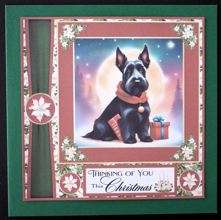 Holly and berries Christmas Scottish terrier card front 12 by Marion Kimberley-Scott