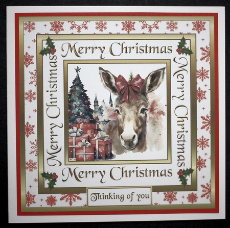 SC Donkey Christmas by Marion Kimberley-Scott