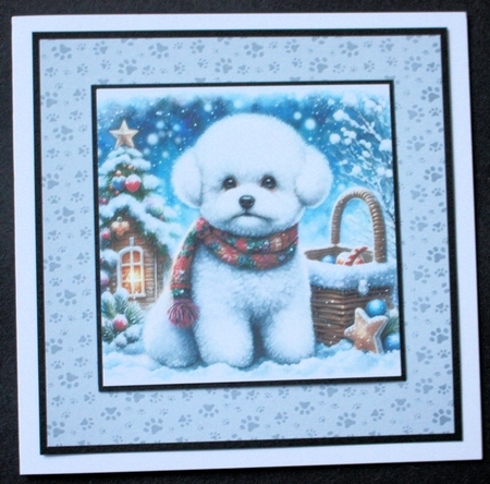 Snow Time Bichon by Marion Kimberley-Scott