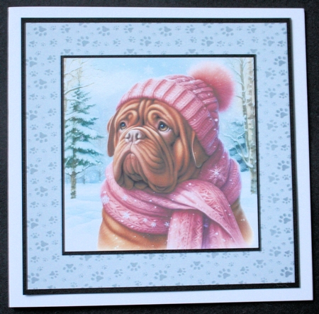Snow Time Dogue de Bordeaux by Marion Kimberley-Scott