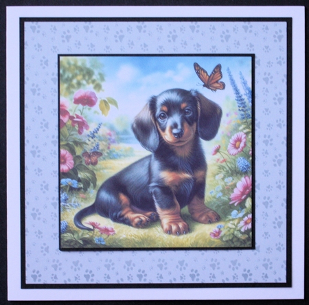 Summer Days Dachshund  by Marion Kimberley-Scott