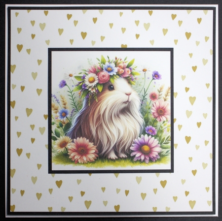 Flower Corwn Guinea Pig 1 by Marion Kimberley-Scott