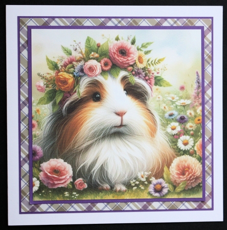 Flower Corwn Guinea Pig 2 by Marion Kimberley-Scott