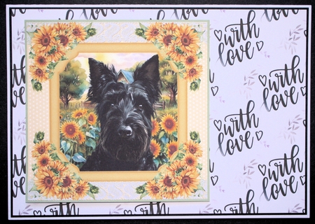 Framed sunflower Scottish terrier card front 1 by Marion Kimberley-Scott