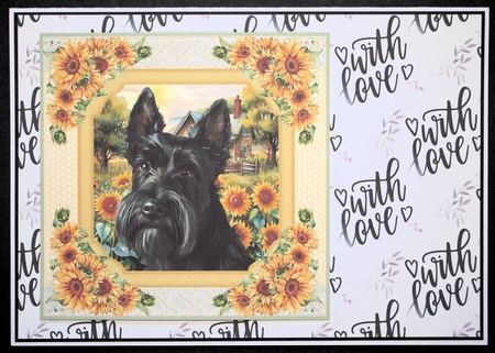 Framed sunflower Scottish terrier card front 4 by Marion Kimberley-Scott
