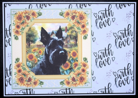Framed sunflower Scottish terrier card front 5 by Marion Kimberley-Scott
