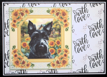 Framed sunflower Scottish terrier card front 6 by Marion Kimberley-Scott