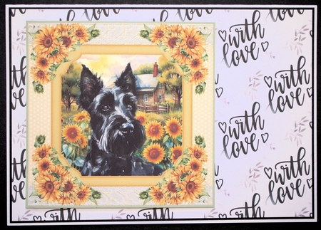Framed sunflower Scottish terrier card front 7 by Marion Kimberley-Scott