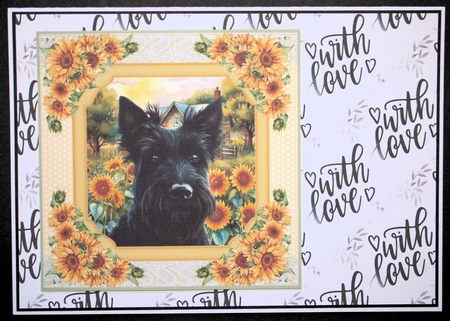 Framed sunflower Scottish terrier card front 8 by Marion Kimberley-Scott