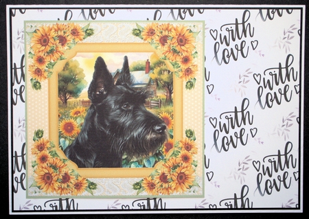 Framed sunflower Scottish terrier card front 10 by Marion Kimberley-Scott