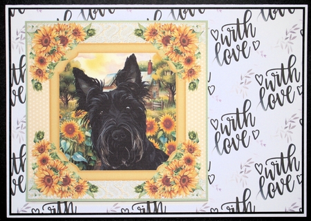 Framed sunflower Scottish terrier card front 11 by Marion Kimberley-Scott