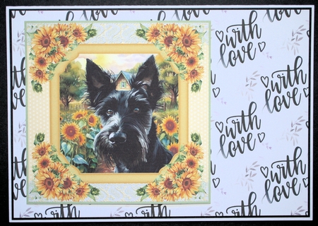 Framed sunflower Scottish terrier card front 12 by Marion Kimberley-Scott