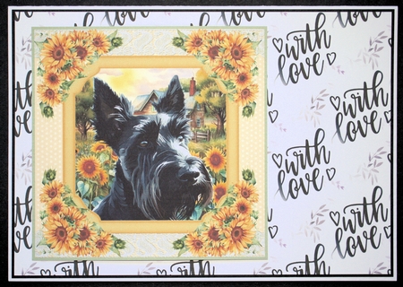 Framed sunflower Scottish terrier card front 13 by Marion Kimberley-Scott