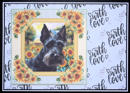Framed sunflower Scottish terrier card front 14 by Marion Kimberley-Scott