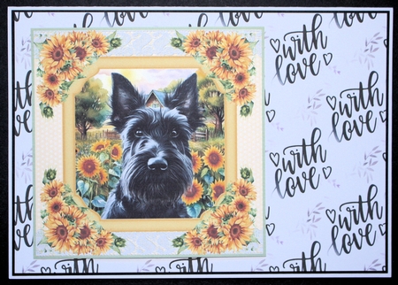 Framed sunflower Scottish terrier card front 15 by Marion Kimberley-Scott