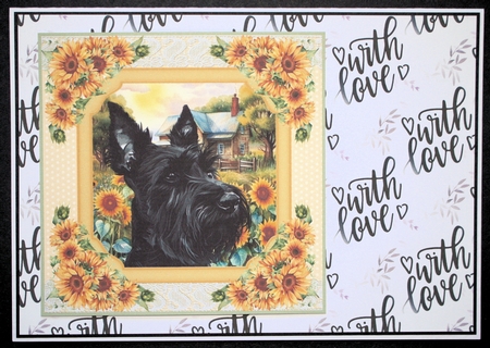 Framed sunflower Scottish terrier card front 16 by Marion Kimberley-Scott