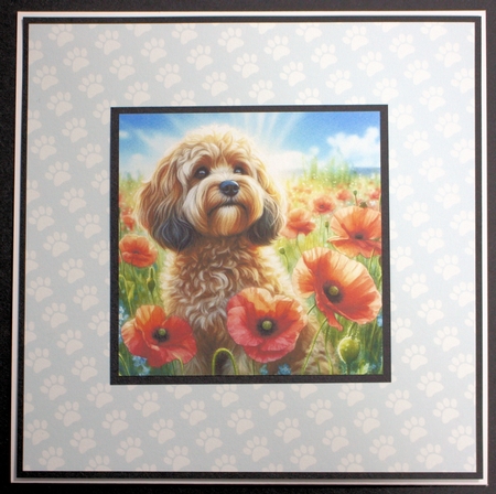 Poppy Field Mix 2 by Marion Kimberley-Scott