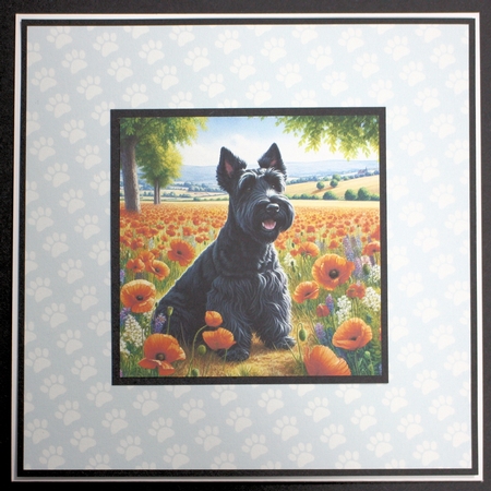 Scotty  Poppy Field  by Marion Kimberley-Scott