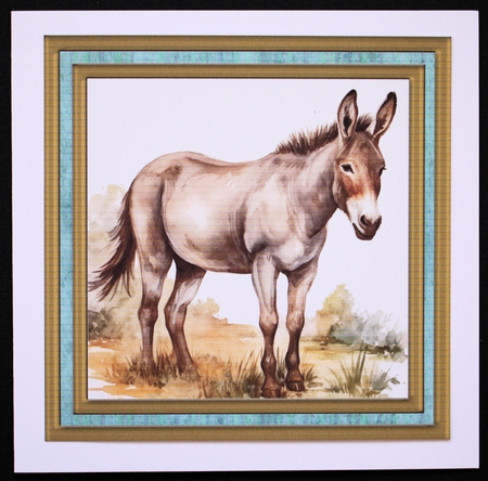 Cute donkey card front 1 by Marion Kimberley-Scott