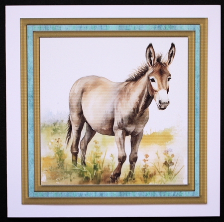 Cute donkey card front 2 by Marion Kimberley-Scott