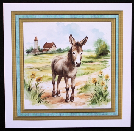 Cute donkey card front 3 by Marion Kimberley-Scott