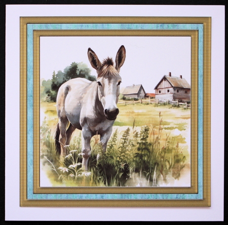 Cute donkey card front 4 by Marion Kimberley-Scott