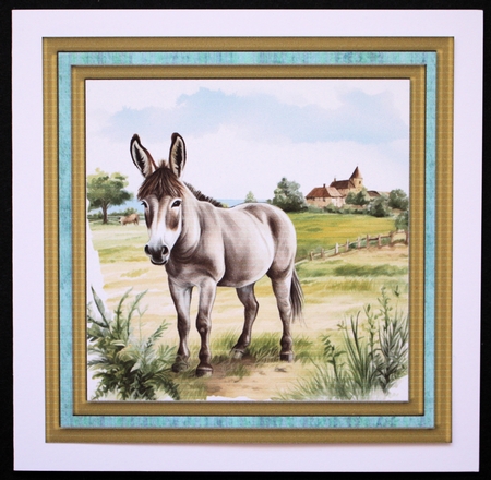 Cute donkey card front 6 by Marion Kimberley-Scott