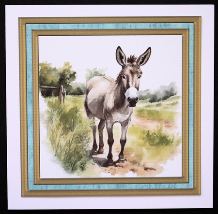 Cute donkey card front 9 by Marion Kimberley-Scott