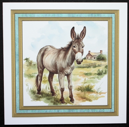 Cute donkey card front 13 by Marion Kimberley-Scott