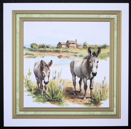 Framed donkeys card front 1 by Marion Kimberley-Scott