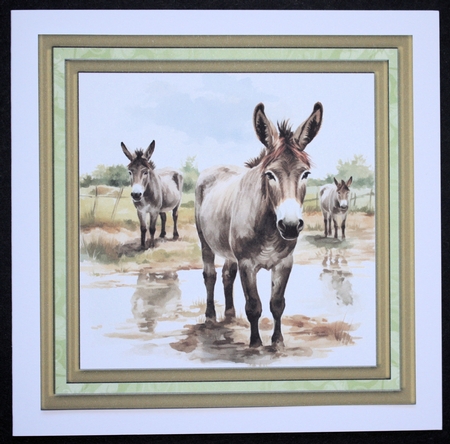 Framed donkeys card front 2 by Marion Kimberley-Scott
