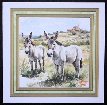 Framed donkeys card front 3 by Marion Kimberley-Scott