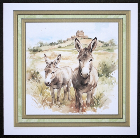 Framed donkeys card front 4 by Marion Kimberley-Scott