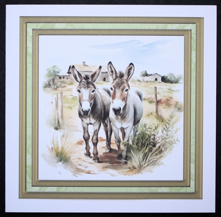 Framed donkeys card front 5 by Marion Kimberley-Scott