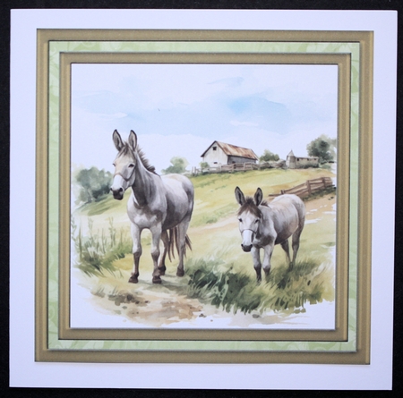 Framed donkeys card front 6 by Marion Kimberley-Scott