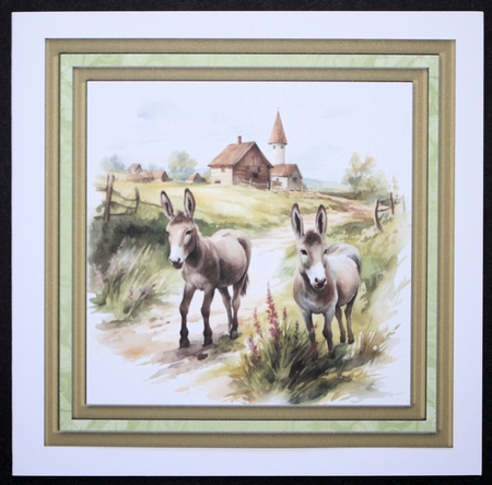 Framed donkeys card front 7 by Marion Kimberley-Scott