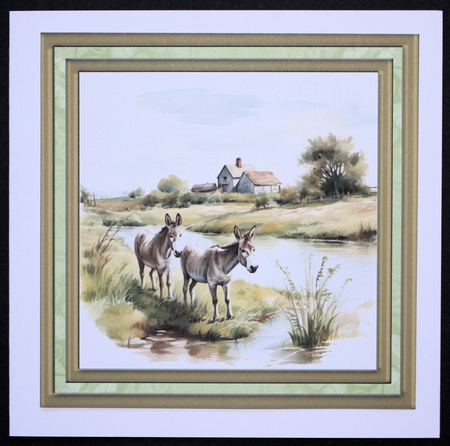 Framed donkeys card front 8 by Marion Kimberley-Scott